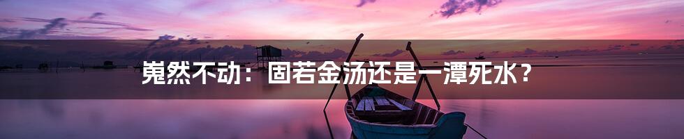 嵬然不动:固若金汤还是一潭死水?