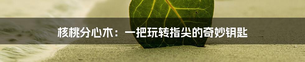 核桃分心木：一把玩转指尖的奇妙钥匙