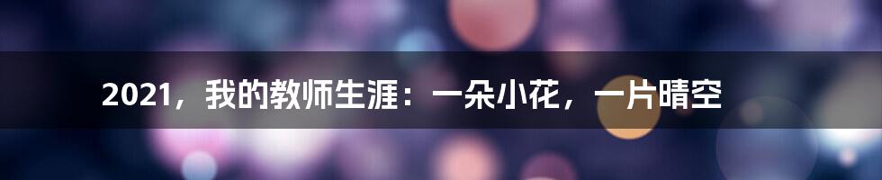 2021，我的教师生涯：一朵小花，一片晴空