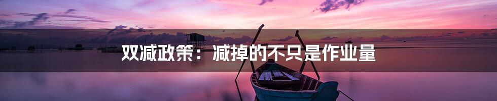 双减政策:减掉的不只是作业量