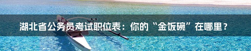 湖北省公务员考试职位表:你的“金饭碗”在哪里?