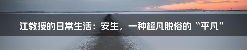 江教授的日常生活:安生,一种超凡脱俗的“平凡”