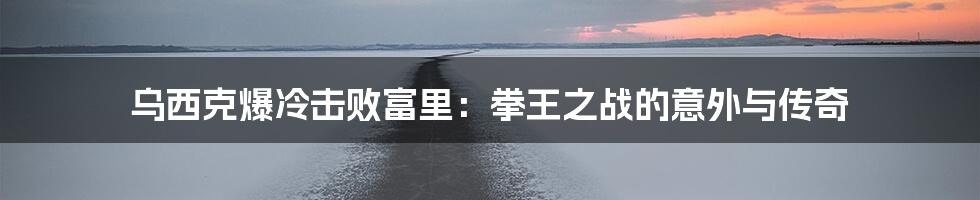 乌西克爆冷击败富里:拳王之战的意外与传奇