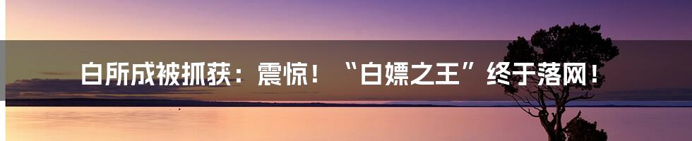 白所成被抓获：震惊！“白嫖之王”终于落网！