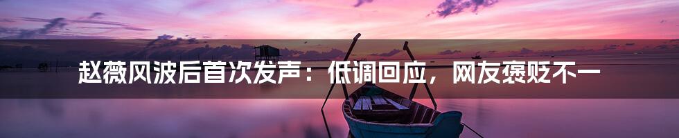 赵薇风波后首次发声:低调回应,网友褒贬不一