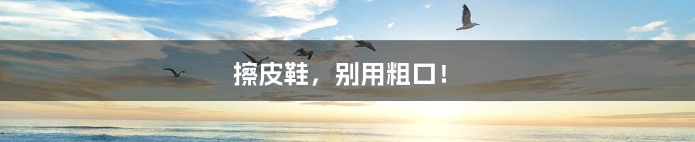 擦皮鞋,别用粗口!