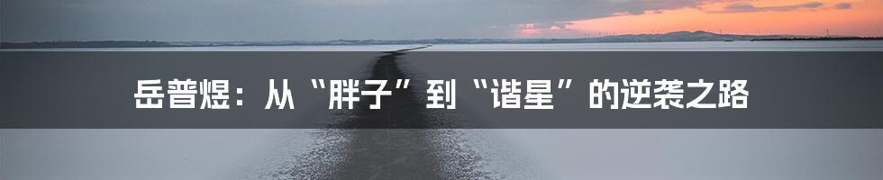 岳普煜：从“胖子”到“谐星”的逆袭之路