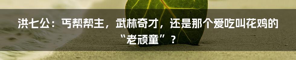 洪七公:丐帮帮主,武林奇才,还是那个爱吃叫花鸡的“老顽童”?