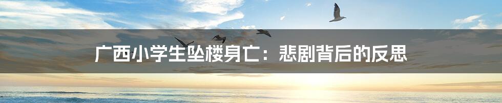 广西小学生坠楼身亡:悲剧背后的反思