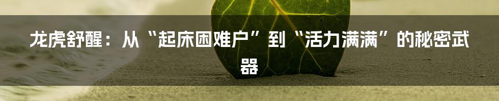 龙虎舒醒：从“起床困难户”到“活力满满”的秘密武器
