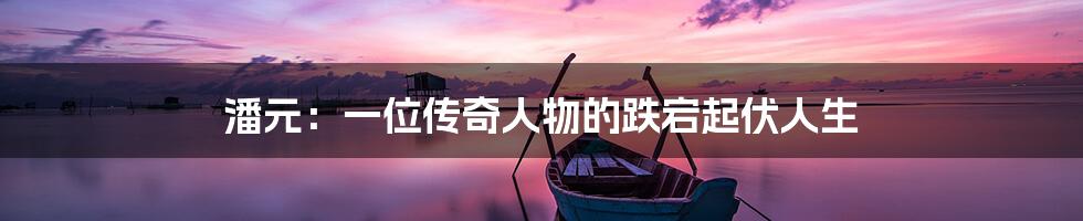 潘元:一位传奇人物的跌宕起伏人生