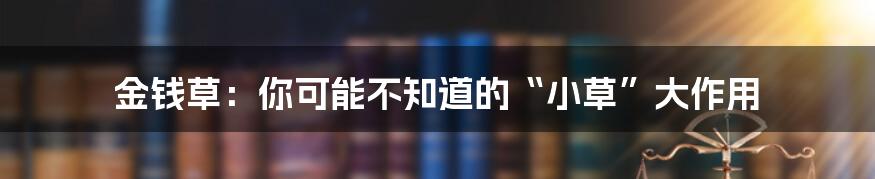 金钱草：你可能不知道的“小草”大作用