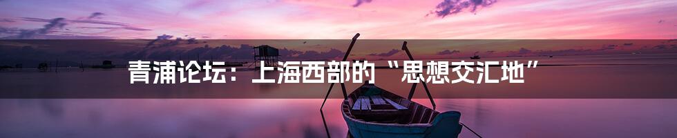青浦论坛:上海西部的“思想交汇地”