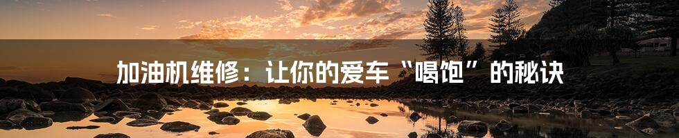 加油机维修:让你的爱车“喝饱”的秘诀