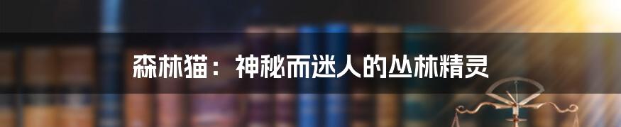森林猫:神秘而迷人的丛林精灵