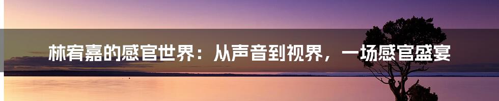 林宥嘉的感官世界：从声音到视界，一场感官盛宴