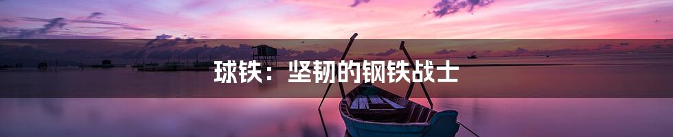 球铁:坚韧的钢铁战士