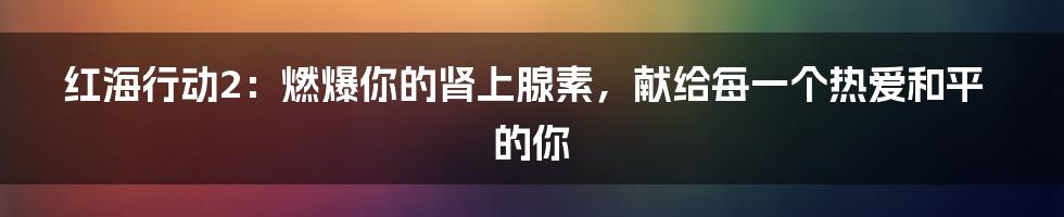 红海行动2：燃爆你的肾上腺素，献给每一个热爱和平的你