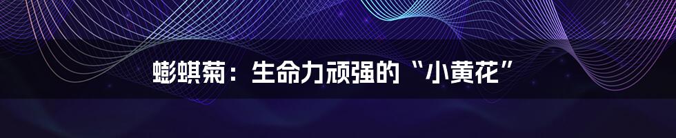 蟛蜞菊:生命力顽强的“小黄花”
