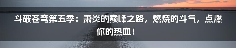 斗破苍穹第五季：萧炎的巅峰之路，燃烧的斗气，点燃你的热血！