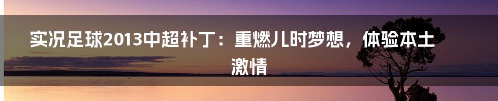 实况足球2013中超补丁:重燃儿时梦想,体验本土激情
