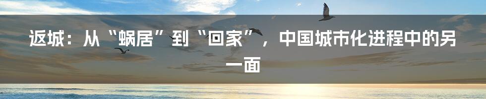返城:从“蜗居”到“回家”,中国城市化进程中的另一面