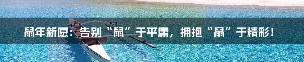 鼠年新愿:告别“鼠”于平庸,拥抱“鼠”于精彩!
