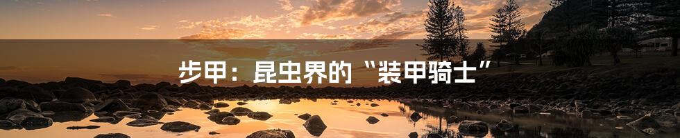 步甲:昆虫界的“装甲骑士”