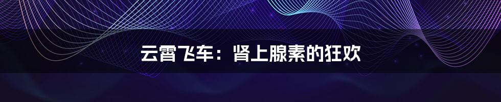 云霄飞车:肾上腺素的狂欢