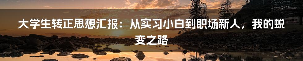 大学生转正思想汇报:从实习小白到职场新人,我的蜕变之路