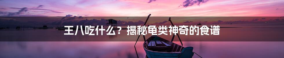 王八吃什么?揭秘龟类神奇的食谱