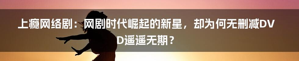 上瘾网络剧：网剧时代崛起的新星，却为何无删减DVD遥遥无期？