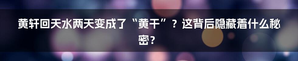 黄轩回天水两天变成了“黄干”?这背后隐藏着什么秘密?