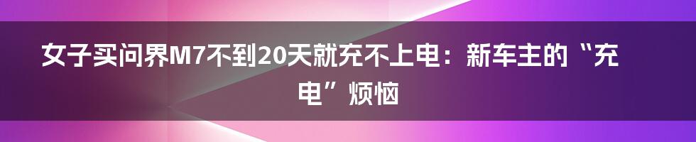 女子买问界M7不到20天就充不上电:新车主的“充电”烦恼