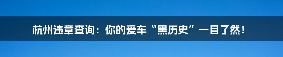 杭州违章查询：你的爱车“黑历史”一目了然！
