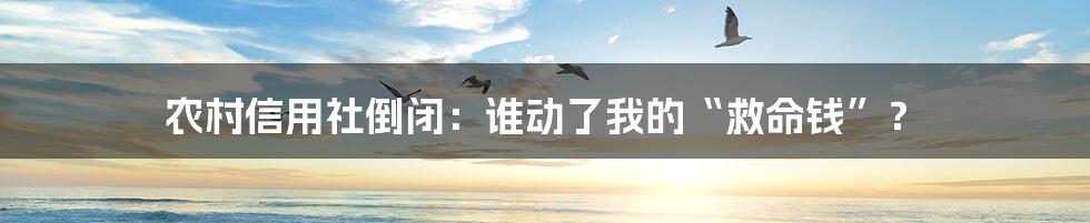 农村信用社倒闭:谁动了我的“救命钱”?