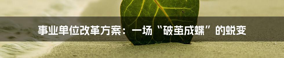 事业单位改革方案：一场“破茧成蝶”的蜕变