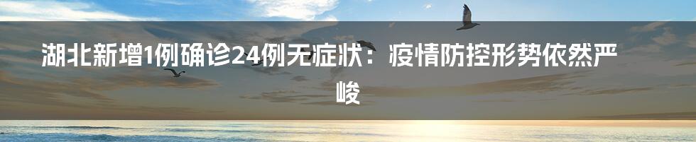 湖北新增1例确诊24例无症状:疫情防控形势依然严峻