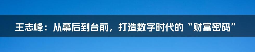 王志峰：从幕后到台前，打造数字时代的“财富密码”