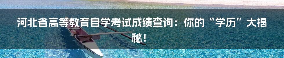 河北省高等教育自学考试成绩查询：你的“学历”大揭秘！