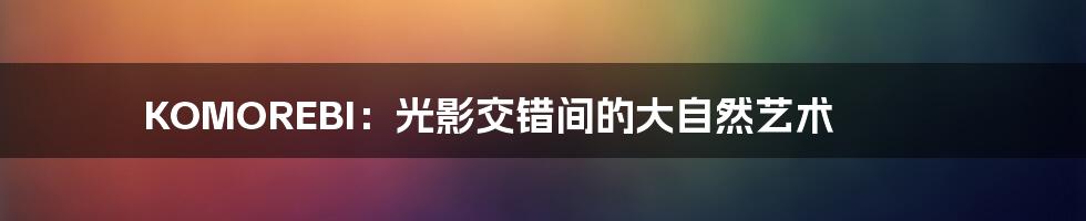 KOMOREBI:光影交错间的大自然艺术