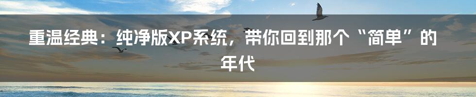 重温经典:纯净版XP系统,带你回到那个“简单”的年代