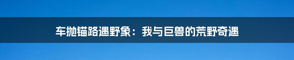 车抛锚路遇野象:我与巨兽的荒野奇遇