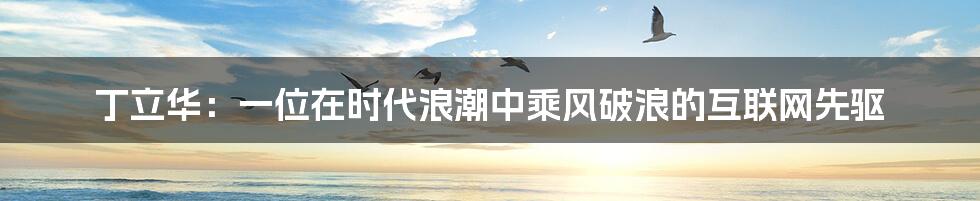 丁立华:一位在时代浪潮中乘风破浪的互联网先驱