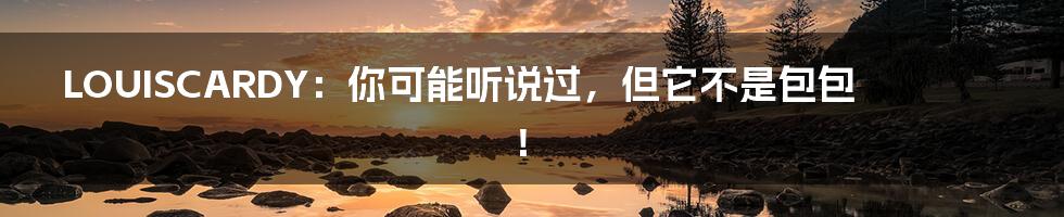 LOUISCARDY:你可能听说过,但它不是包包!
