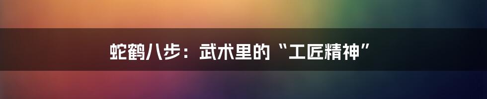 蛇鹤八步:武术里的“工匠精神”