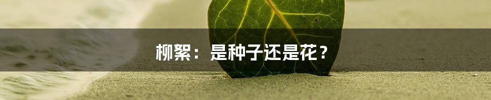 柳絮:是种子还是花?