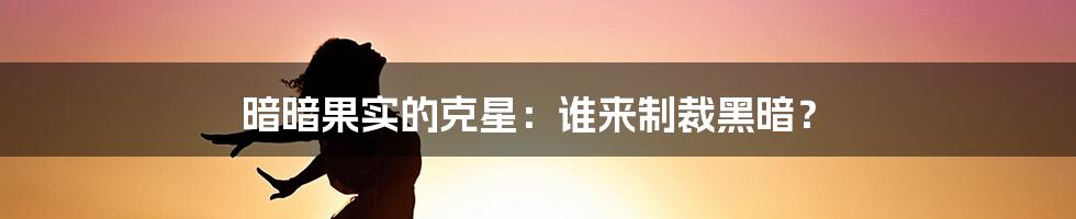 暗暗果实的克星：谁来制裁黑暗？