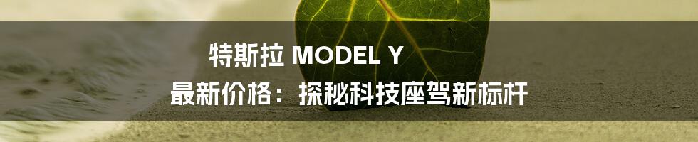 特斯拉 MODEL Y 最新价格:探秘科技座驾新标杆