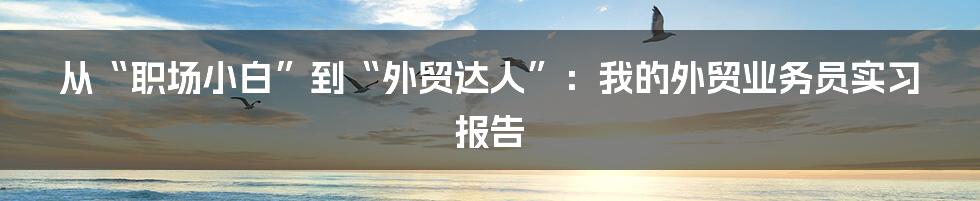 从“职场小白”到“外贸达人”：我的外贸业务员实习报告